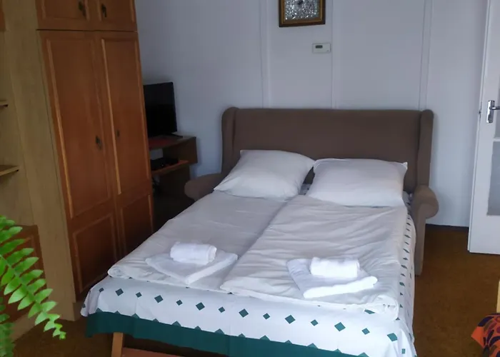 Toth バラトンレッレ