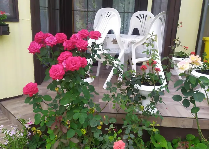 Toth * バラトンレッレ