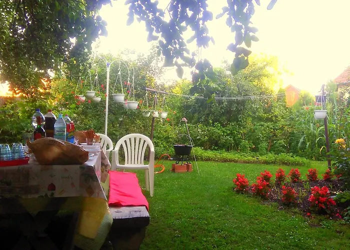 Toth バラトンレッレ